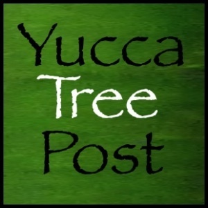 YuccaTweet's profile picture. Dieser Account ist stillgelegt. Bitte schaut drüben bei @yuccatree vorbei.