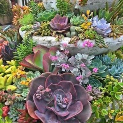 cling2x20's profile picture. Retwitted