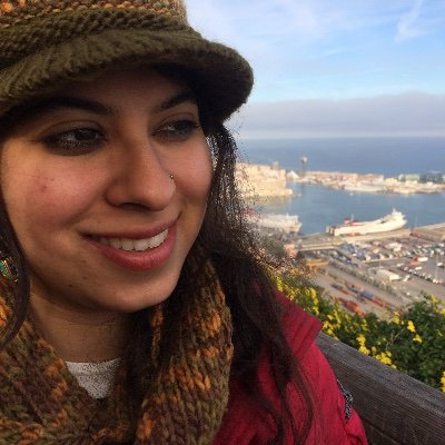 Assistant Professor at Jindal School of International Affairs, Social Anthropologist works on gender, rural development, migration and education