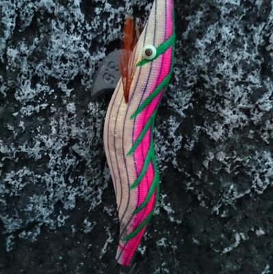 huangdineijing2's profile picture. よろぴく〜