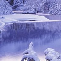 Hudhayfah (@hudhayf16770166) 's Twitter Profile