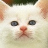 Взаимный фолловинг!
FollowBack 100%!