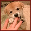 Взаимный фолловинг!
FollowBack 100%!