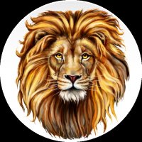 ๐ฅ ๐ถ๐๐๐ฒ๐๐๐๐ ๐ฅ (@the_king_graph) 's Twitter Profile