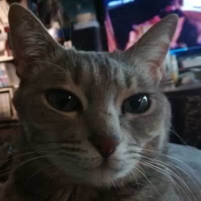 zB6r1pkwK9ZF795's profile picture. こんち