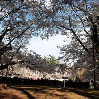 naonaosekkotu's profile picture. 全国的に有名な雪どころの温泉で新しい道を歩きだした柔道整復師の独り言。
一期一会、人とのご縁を大切に。