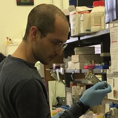 PhD student at the University of East Anglia (UEA)