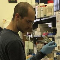 Marco Antonaci (@marcoantonaci5) 's Twitter Profile Photo Marco Antonaci (@marcoantonaci5) 's Twitter Profile Photo