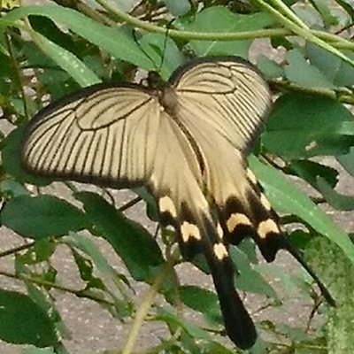 STnk298's profile picture. 祈りの先に 救いはあるのか

※ 成人済み
※ The header image is a work of Böhringer Friedrich (CC BY-SA-2.5 ), via Wikimedia Commons.