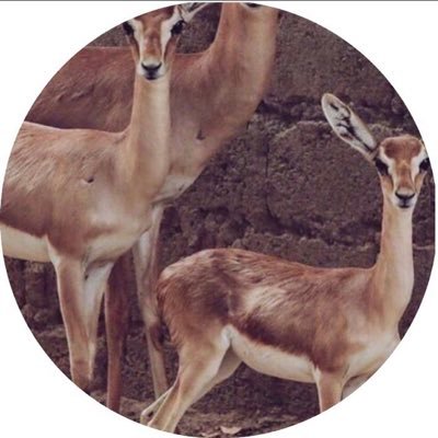 اللهّم مغفرة الذنوب ونعيم الجنّة .