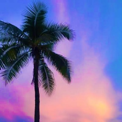 6SamN6sUDPl7Egr's profile picture. 気軽にどうぞ