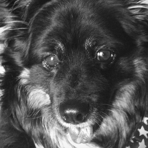 pickyourpoisons's profile picture. Owner of PAPER + PLASTICK. - kick-snare-kick. - ex-beard olympics- searcher of monster cereals- excessive traveller of economy class.