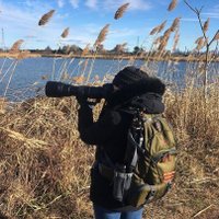 Karo (@karobeara) 's Twitter Profile Photo Karo (@karobeara) 's Twitter Profile Photo
