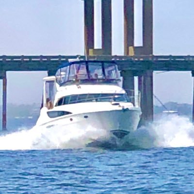 CrownJe15438421's profile picture. Wave Making Dolphin Chasing Fool