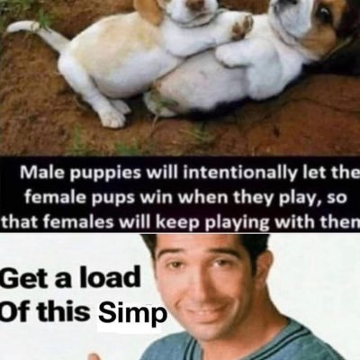 spiritowwww's profile picture. Indepebdente