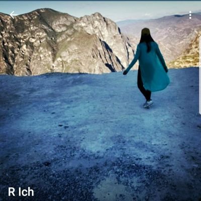 reich1307's profile picture. 