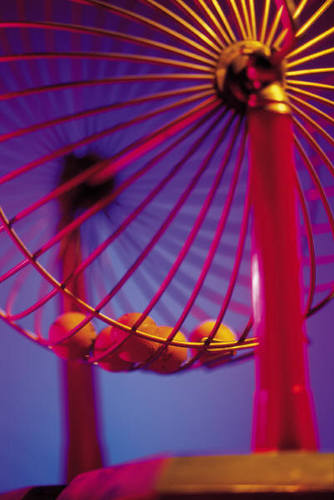 lotteryexploder's profile picture. 