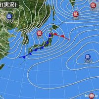 earth_sei (@earthsei) 's Twitter Profile