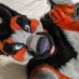 Foxooo (@foxxxoffire) Twitter profile photo Foxooo (@foxxxoffire) Twitter profile photo