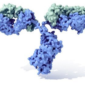 Ya estamos aquí y cada vez somos más. Nos vamos a cargar al coronavirus.