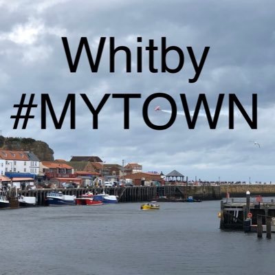 Supporting and sharing the proposed £17.1m allocated under the national Towns Fund for Whitby projects