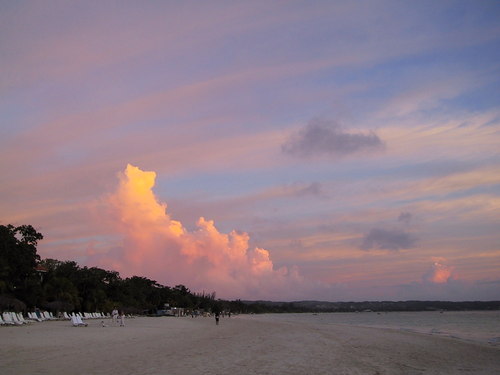 MintaMinta's profile picture. 