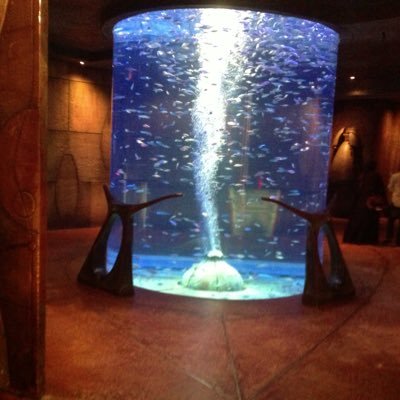 mammandandaulah's profile picture. All Sports All Sports International Politics Local News Government & Politics Football World News TV International Entertainment