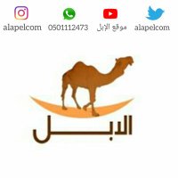 موقع الإبل (@alapelcom) Twitter profile photo