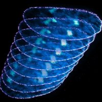 Nucleus Science Talks (@nucleusscitalks) 's Twitter Profile Photo Nucleus Science Talks (@nucleusscitalks) 's Twitter Profile Photo