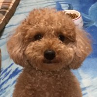 未亜 (@nuts_hr) 's Twitter Profile
