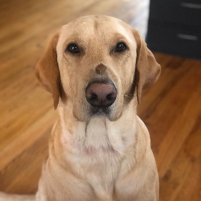 Tofu2Jack's profile picture. 