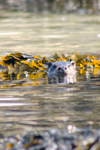 leemcpee's profile picture. I love, live, work and breathe gardening, photography, art, nature. All photos & views are my own unless it's a retweet.