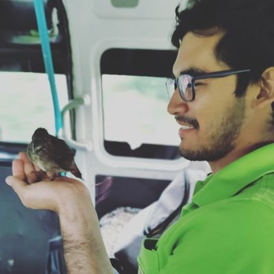 Jhinkarc's profile picture. Forestal con pasión en política y economía 🙋‍♂️🌲💰🗣️.