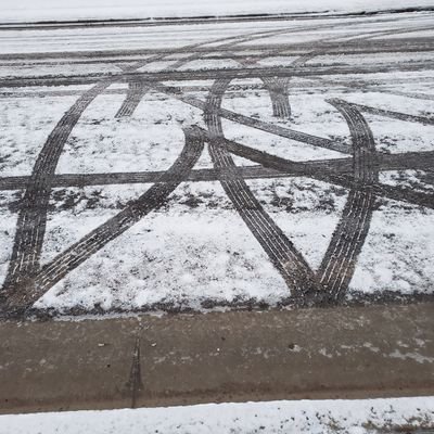 bandsmom1_no's profile picture. Christian, wife, Mom of 1 son & a Teen Angel daughter, 3 grands. Independent common sense. NO DMs. Back the Blue, military, 1st responders & real news!