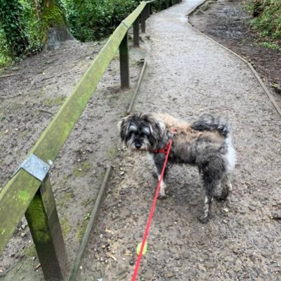 ZoeElizabethjo2's profile picture. 