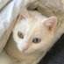 Anna (@aniuska75) Twitter profile photo Anna (@aniuska75) Twitter profile photo