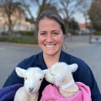 Roselle Busch (@uccesheepngoat) 's Twitter Profile