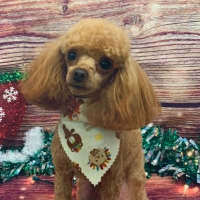 TerryTa27525215's profile picture. 