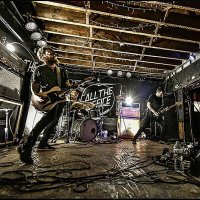 Sparrows (@sparrows613) 's Twitter Profile
