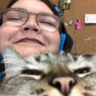 verytiredkat Profile Picture