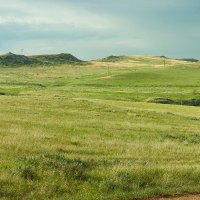 Prairie Pragmatist (@prairiepragmat1) 's Twitter Profile