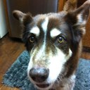 frank osborn - @allbeef_frank - Twitter