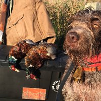 TDA Zearing (@tdazearing) 's Twitter Profile