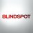 NBCBlindspot