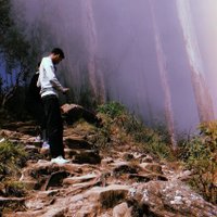 🤑 (@jstfoll) 's Twitter Profile