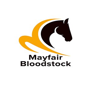 MayfairBloodstock