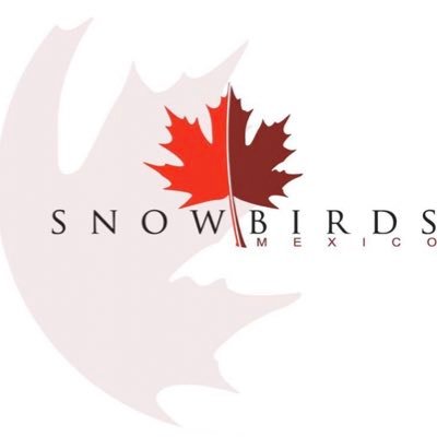 Snowbirdsmexico