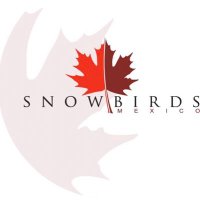 Snowbirdsmexico(@snowbirdsmexico) 's Twitter Profile Photo