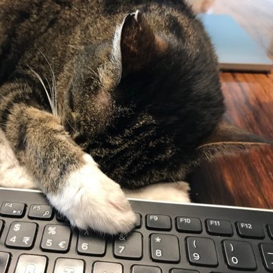 Entrepreneur, commercial negotiator, contract management consultant, business coach, mediator, PhD, cat lover