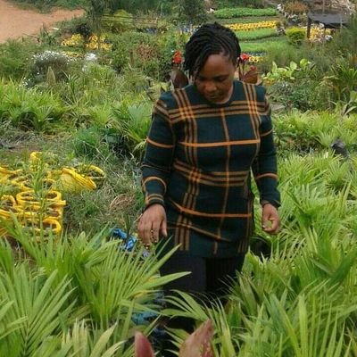 Annahkanyesigy1's profile picture. 